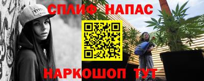 крисы Нальчик
