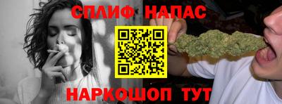 крисы Нальчик