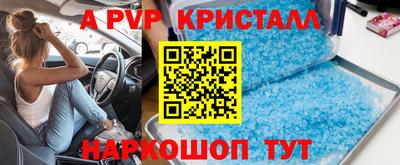 крисы Нальчик