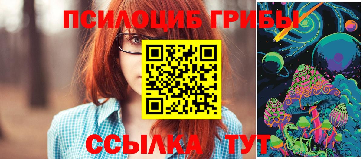 Псилоцибиновые грибы мицелий Сланцы