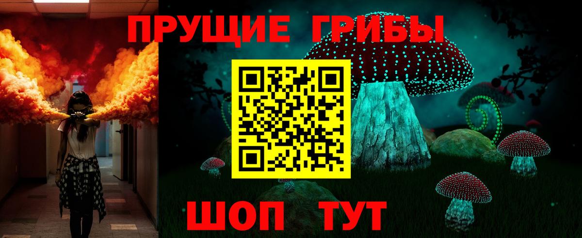 Сланцы  Галлюциногенные грибы Magic Shrooms  Вход с VPN 